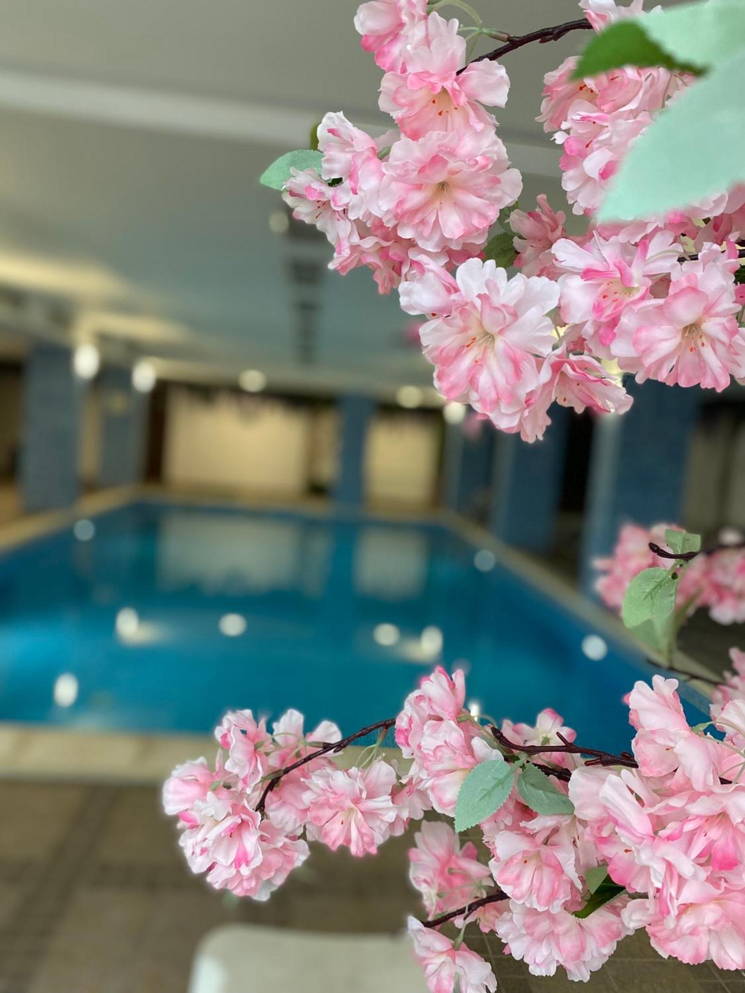 Complex Nero Aparthotel Pamporovo Ngoại thất bức ảnh